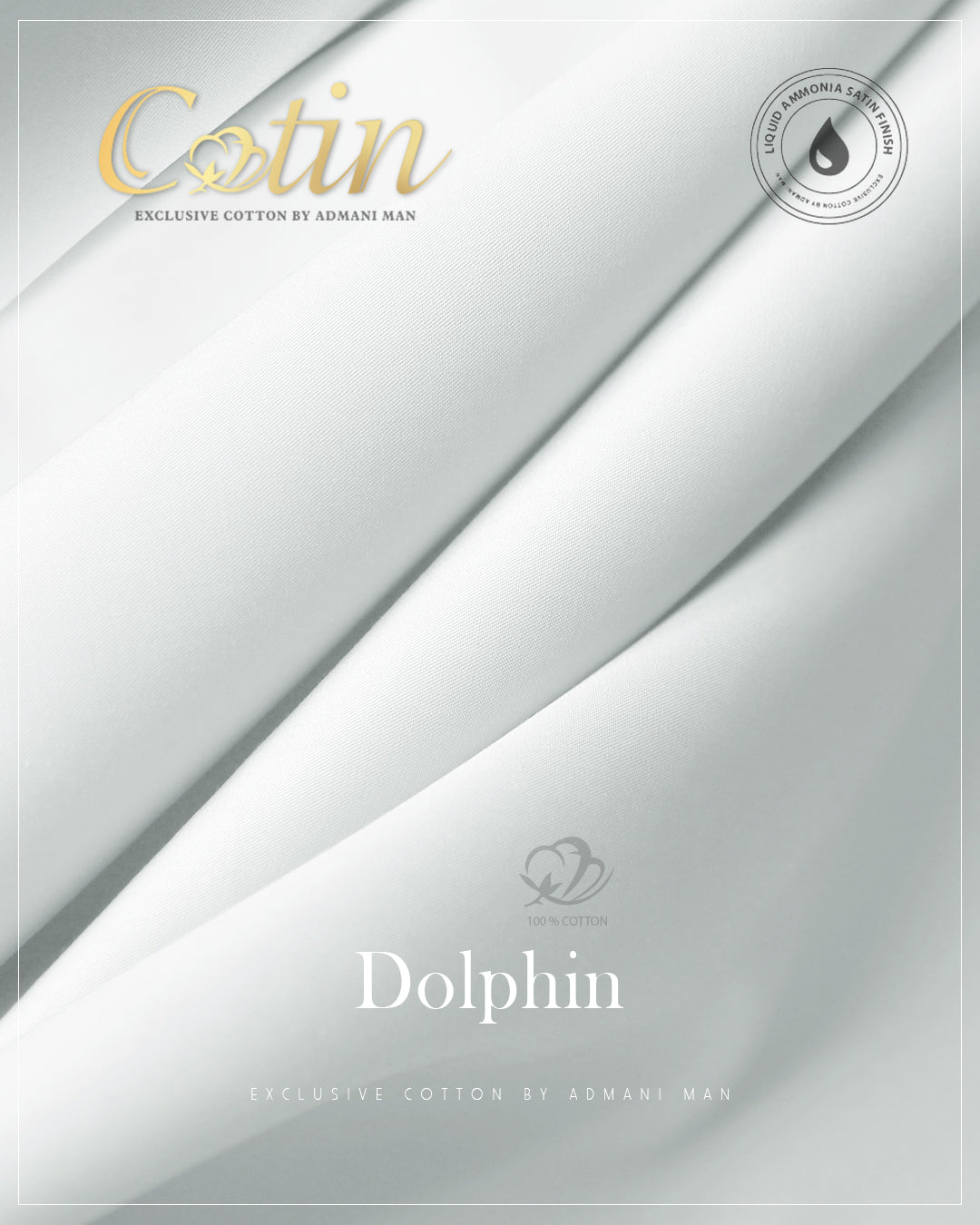 Dolphin